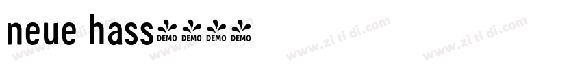neue hass字体转换